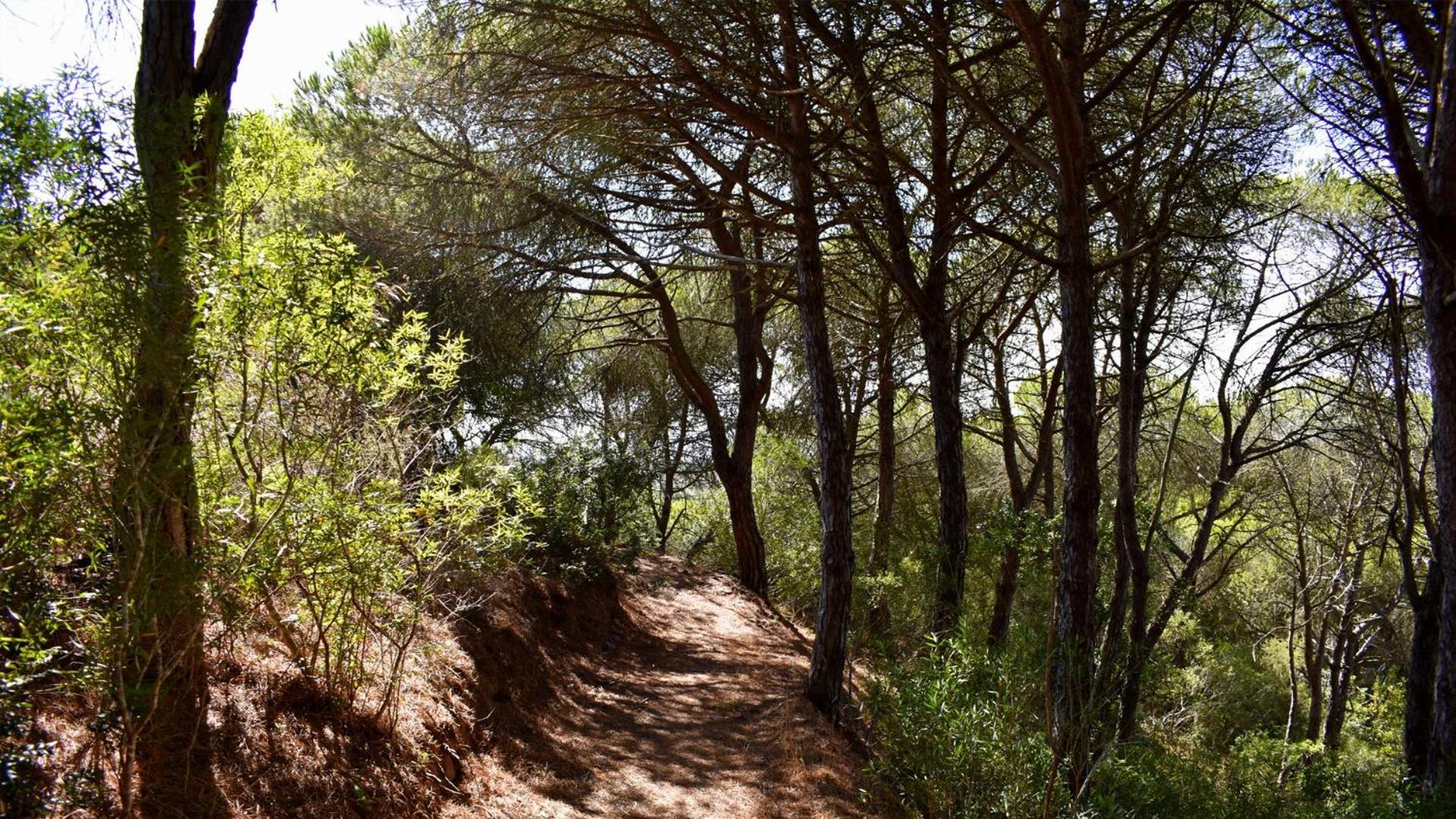 Monte Sardinha Konuk evi Santiago do Cacém Dış mekan fotoğraf